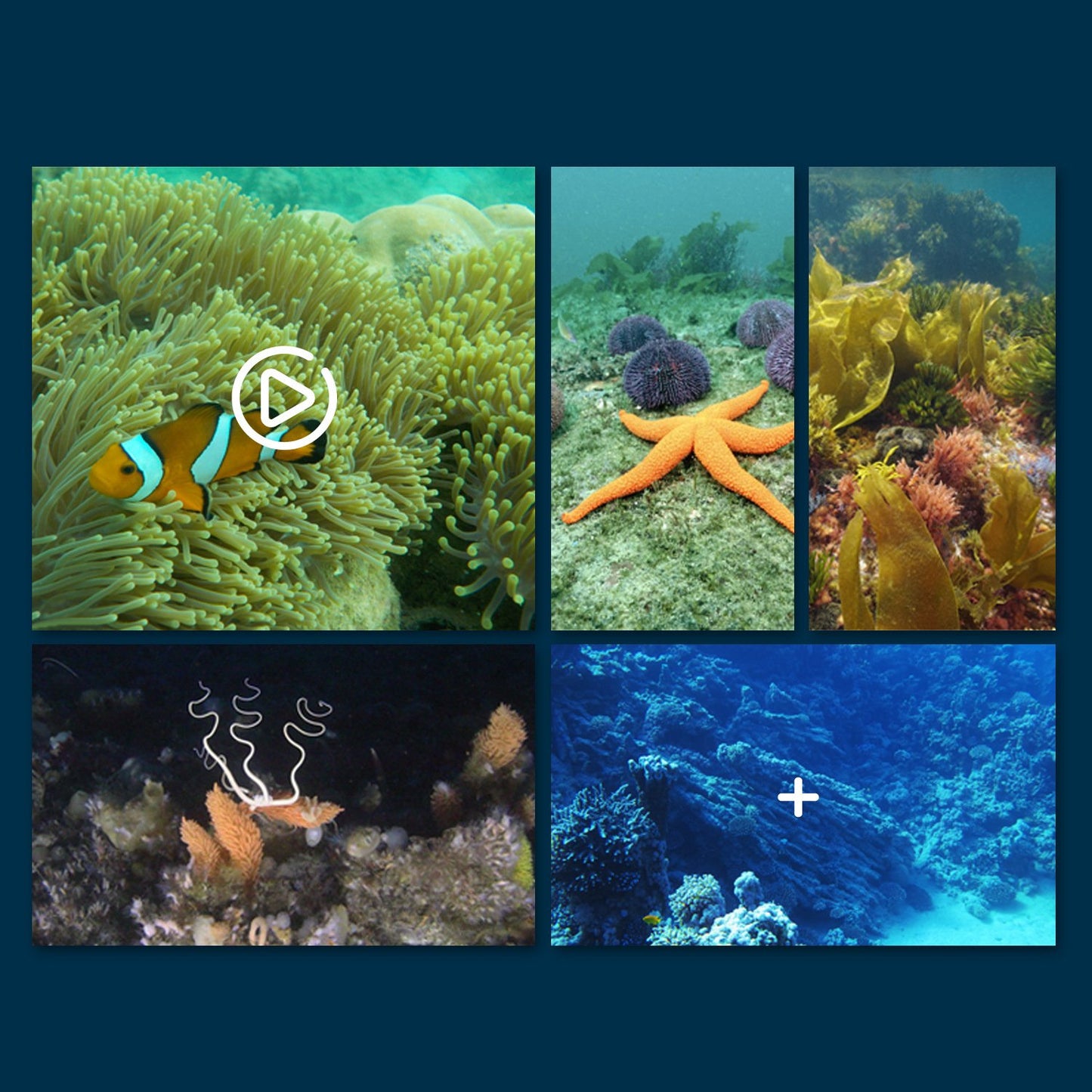Mini WiFi Underwater Explorer Submarine with Live HD Camera Feed